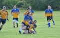West 3 - Bute Vs Lanark