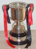 Trophy cabinet