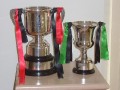 Trophy cabinet