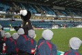 Wasps Game