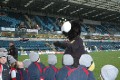 Wasps Game