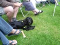 Masham Beer Festival 2011
