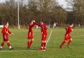 Birmingham Vase Semi Final