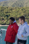 More New Zealand