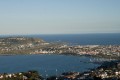 More New Zealand
