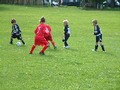 under 8's