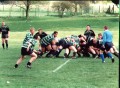 Old Dogs 2001