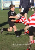 U9 v Atherstone @ CRFC 2010-11-13