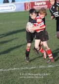 U9 v Atherstone @ CRFC 2010-11-13