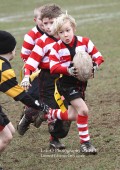 U8 v Hinckley RFC - 30th Jan 11