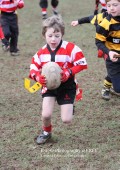 U8 v Hinckley RFC - 30th Jan 11