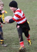U8 v Hinckley RFC - 30th Jan 11