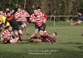 1st XV v Cheltenham North RFC - 26th Feb 2011