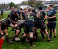 Newton v West Park Warriors