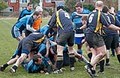 Newton v St Mary's Old Boys( Lancs) 13 Feb 2010