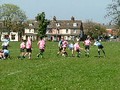 Minchinhampton 24th April 2010